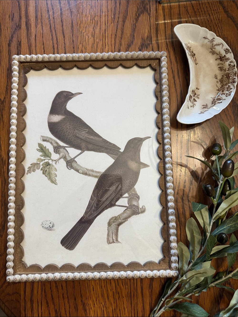 Kirklands Framed Bird Art Print
